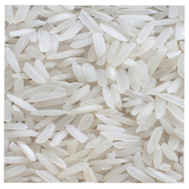 Average Quality Daily Rice